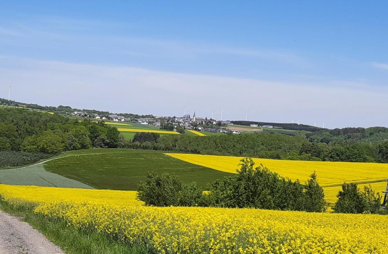 Апартаменты Kleine-Eifel-Auszeit Hambuch Экстерьер фото